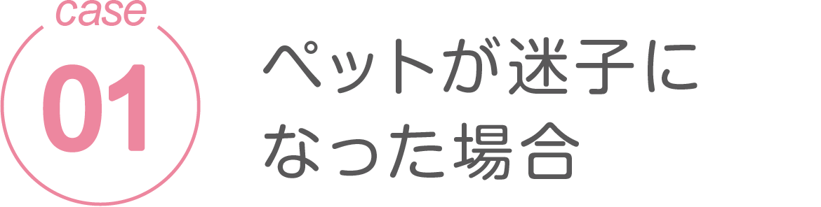 ペットが迷子になった場合